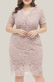 Sexy Solid Lace V Neck Lace Dress Plus Size Dresses