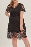 Sexy Solid Lace V Neck Lace Dress Plus Size Dresses